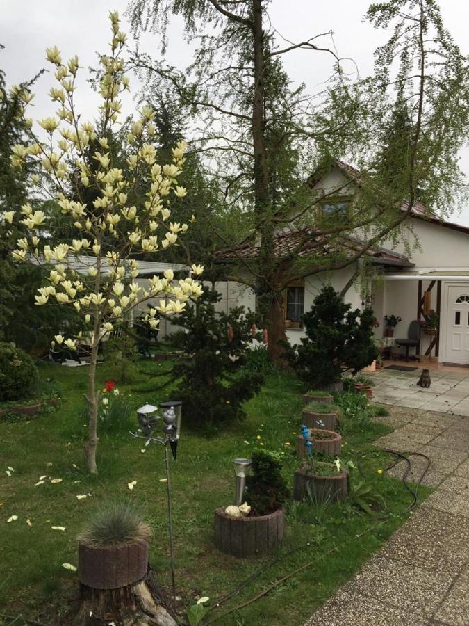 דירות Neutrebbin Kleines Haus Im Oderbruch מראה חיצוני תמונה
