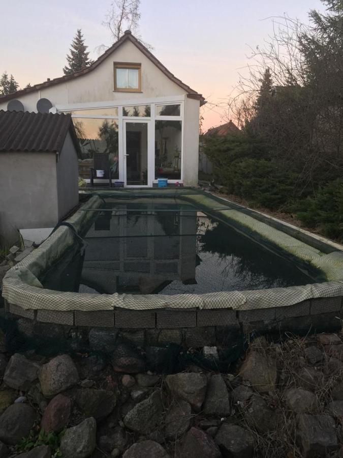 דירות Neutrebbin Kleines Haus Im Oderbruch מראה חיצוני תמונה